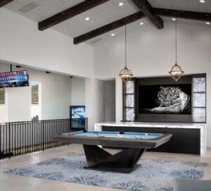 contemporary entertainment room in dana point